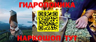 прущие грибы Моздок