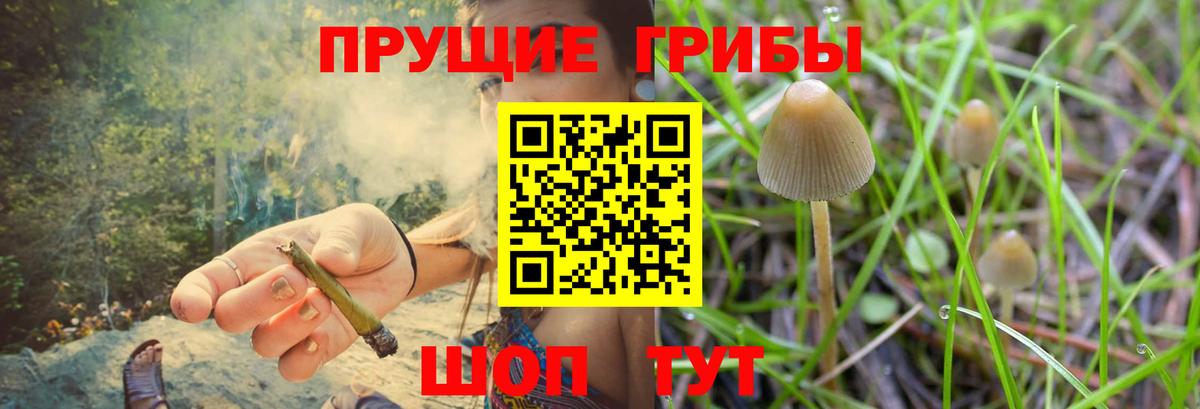 Псилоцибиновые грибы мицелий  Вход с VPN  Урай  как найти   Псилоцибиновые грибы Magic Shrooms 